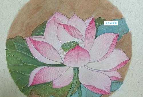 出水芙蓉是什么生肖这个答案让人意想不到