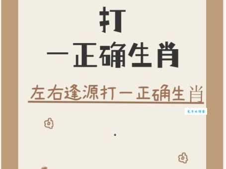 下不为例打一生肖猜谜答案揭晓原来这么简单