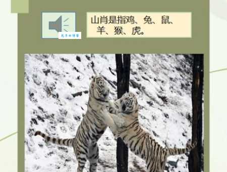 灰心丧气指什么生肖动物 看看你中招了吗