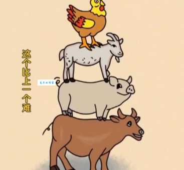 投木报琼打一生肖是什么动物快来猜猜看