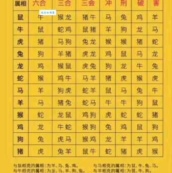 花天酒地是什么生肖 揭秘最爱吃喝玩乐的属相