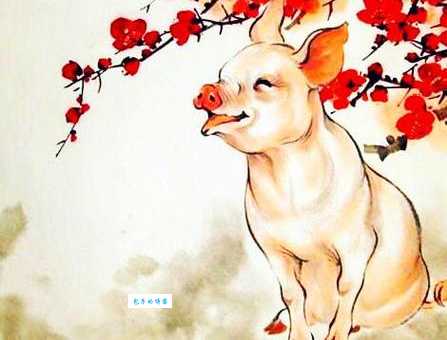 粗枝大叶打一生肖是什么动物这么简单