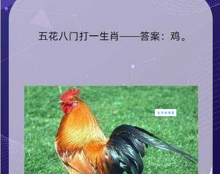 二一添四是什么生肖 答案揭晓让你恍然大悟