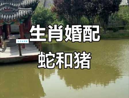 水火不容什么生肖 最易吵架的生肖配对