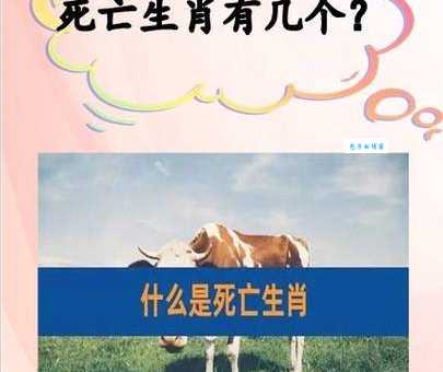 盛况空前打一生肖这个生肖最热闹