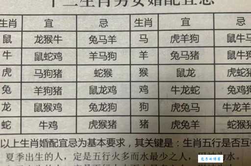 钻冰求火开过什么生肖 生肖背后的神秘故事解析