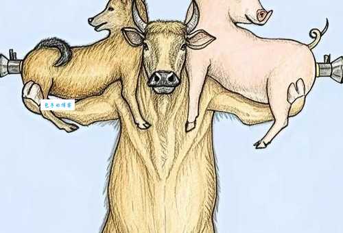 帝王将相猜一生肖看看你猜对了没有答案在这里