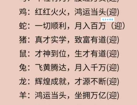 书香世家打一生肖看看哪个生肖最有书卷气