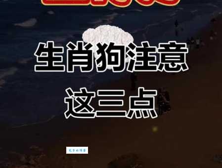 狗打老鼠无功劳是什么生肖 这几个属相最委屈