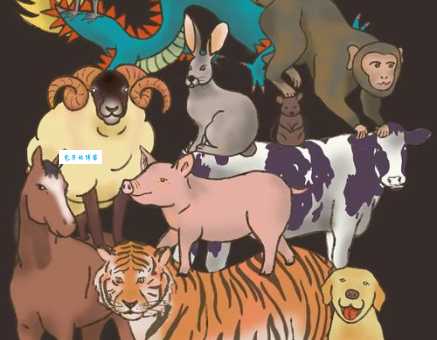 粗枝大叶打一正确生肖这个动物你猜对了吗