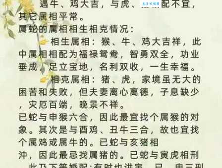 同心同德是什么生肖 这些生肖配对最和谐