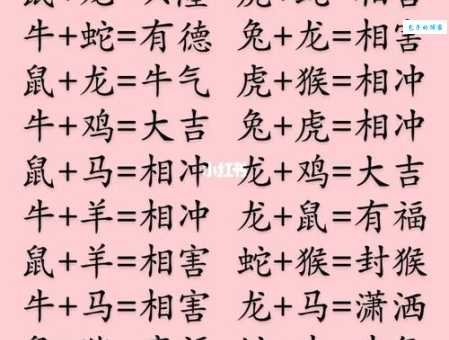 同心同德是什么生肖 这些生肖配对最和谐