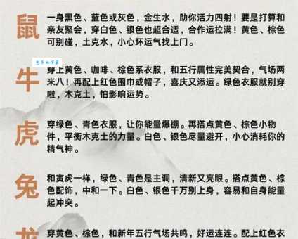 翩翩起舞打一精准生肖答案揭晓原来这么简单