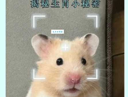 故家子弟打一个生肖是什么意思答案揭晓
