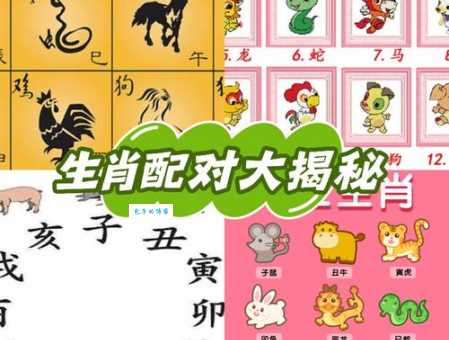 湖光水色是什么生肖 一起来猜猜哪个生肖最贴切这个描述