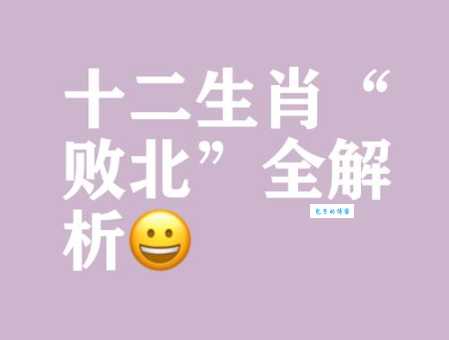 临阵磨枪指什么生肖 哪个生肖做事总爱拖到最后