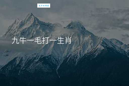 九牛一毛打一生肖快来猜一猜