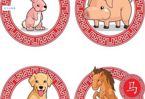 九牛一毛打一生肖快来猜一猜