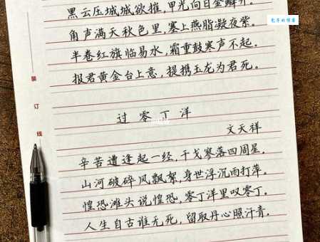 山河破碎风飘絮打一生肖解析让你秒懂其中奥秘
