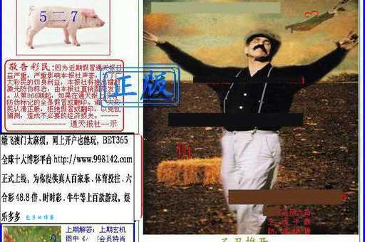 一年锦绣马文章猜一生肖你猜对了吗