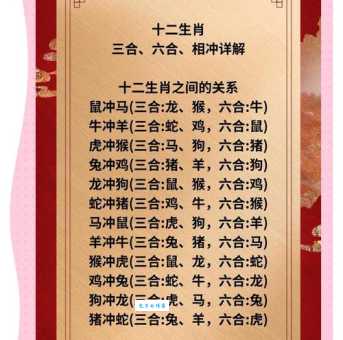 争强好胜打一精准生肖 这个生肖最不服输