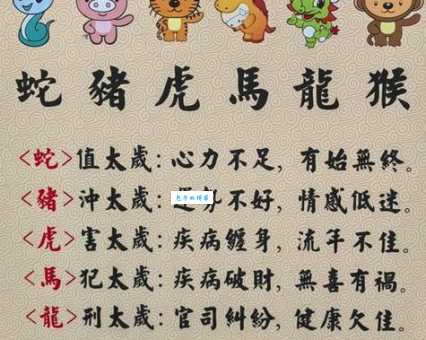 观者如山打一最佳生肖这个属相最符合描述