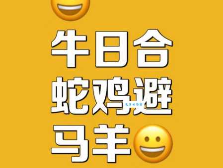 争强好胜的生肖是什么生肖你猜对了吗