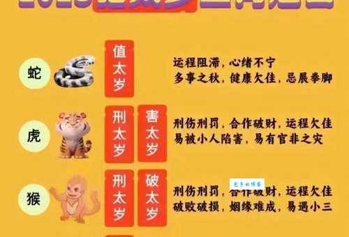 明知故犯是什么生肖 揭秘最爱顶嘴的属相