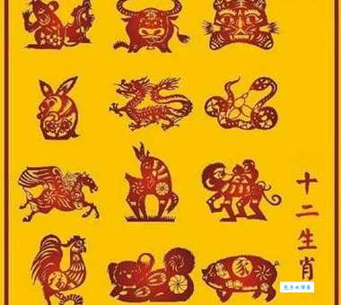 多难兴邦是什么生肖 看看哪个生肖最坚强