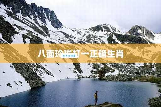 八面玲珑打一生肖揭秘哪个生肖最擅长交际