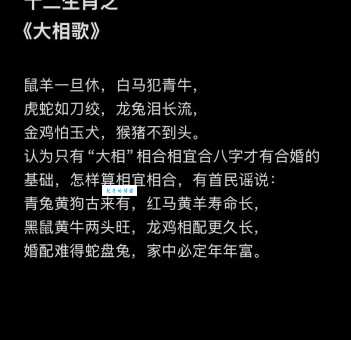 摆老资格是什么生肖 这些属相最爱倚老卖老