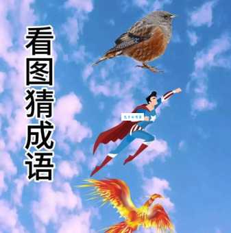 鹏程万里打一最佳动物答案原来是这个