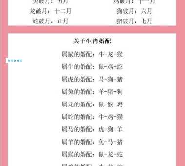 明湖晓月象征什么生肖动物 看完你就明白了