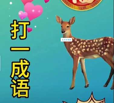 歌功颂德打一生肖是什么动物快来猜