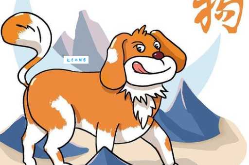画虎类狗指什么生肖 原来是指十二生肖中的它