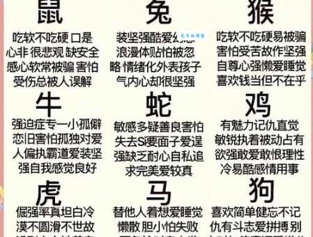 战战兢兢什么生肖最没安全感说的是你吗