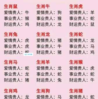 超群出众打一生肖揭秘十二生肖中的佼佼者