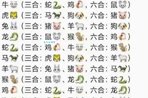 超群出众打一生肖揭秘十二生肖中的佼佼者