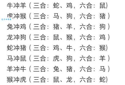 糊糊涂涂是什么生肖 十二生肖迷糊排行榜