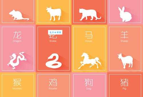 一五一十猜生肖答案竟然是它们