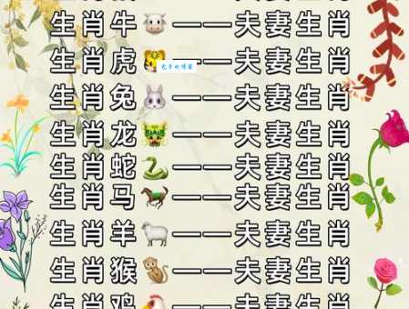 前世姻缘四八合是什么生肖 这些属相天生一对