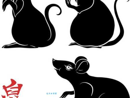 舞刀弄枪猜打一最佳正确生肖答案揭晓