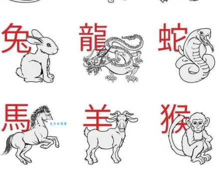 鹏程万里打一准确生肖猜猜看是什么动物