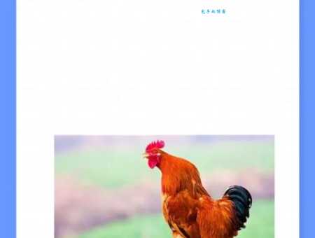 甘泉必竭准确打一动物谜底到底是什么