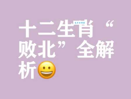 权衡利弊是什么生肖 哪些生肖天生就懂得趋利避害