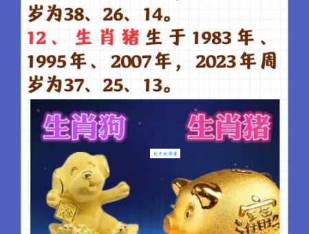 1972年属什么生肖 72年出生的人今年多大