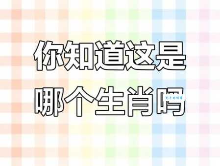岁月如梭匆匆去打一个生肖快来猜猜看
