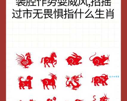 大街小巷是指什么生肖 看看你猜对了没有