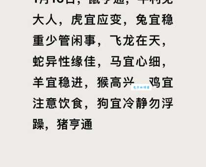 龟鹤之年打一准确生肖答案让人恍然大悟