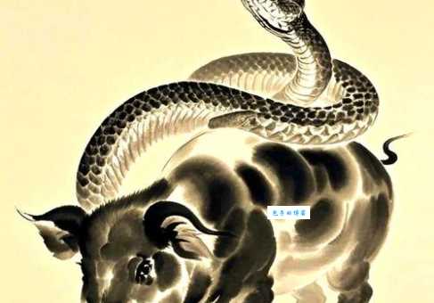 叱咤风云打一正确动物原来是它你猜对了吗